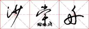 梁锦英沙棠舟草书怎么写