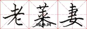 骆恒光老莱妻楷书怎么写