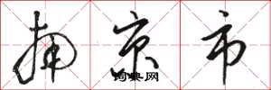 骆恒光南京市草书怎么写
