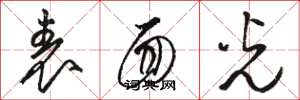 骆恒光表面光草书怎么写