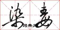 骆恒光染毒草书怎么写