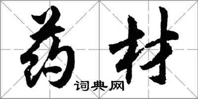 胡问遂药材行书怎么写