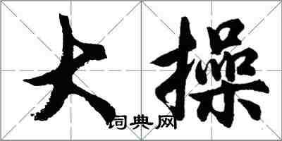 胡问遂大操行书怎么写
