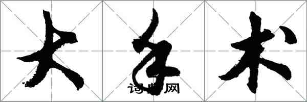 胡问遂大手术行书怎么写