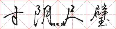 骆恒光寸阴尺璧行书怎么写