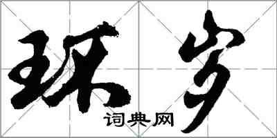 胡问遂环岁行书怎么写