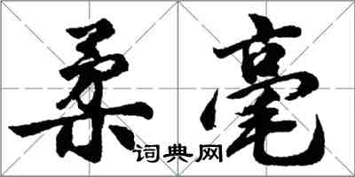胡问遂柔毫行书怎么写
