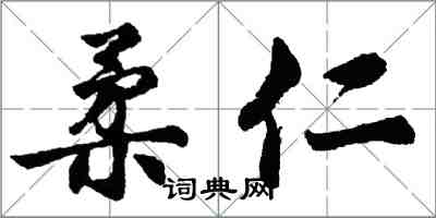 胡问遂柔仁行书怎么写