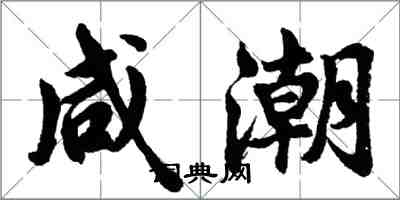 胡问遂咸潮行书怎么写
