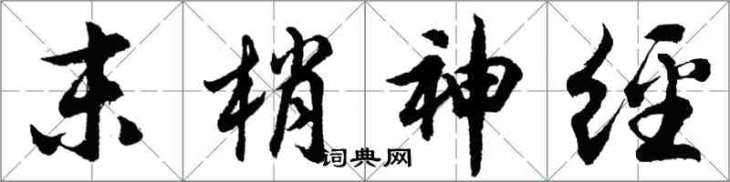 胡问遂末梢神经行书怎么写