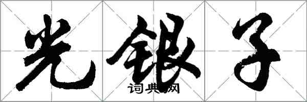 胡问遂光银子行书怎么写