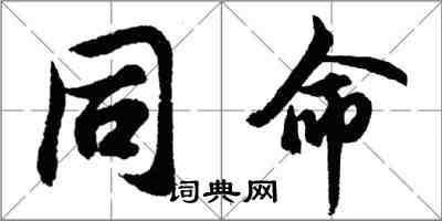 胡问遂同命行书怎么写