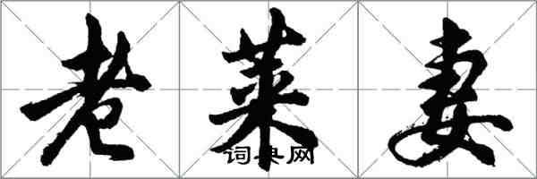 胡问遂老莱妻行书怎么写