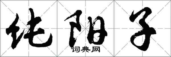 胡问遂纯阳子行书怎么写