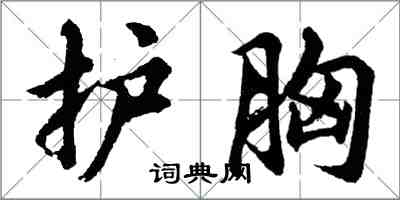 胡问遂护胸行书怎么写