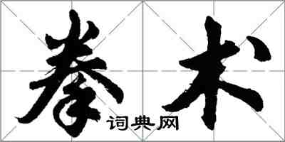 胡问遂拳术行书怎么写