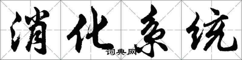 胡问遂消化系统行书怎么写