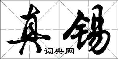 胡问遂真锡行书怎么写
