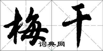 胡问遂梅干行书怎么写