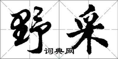 胡问遂野采行书怎么写