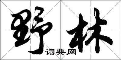 胡问遂野林行书怎么写