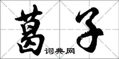 胡问遂葛子行书怎么写