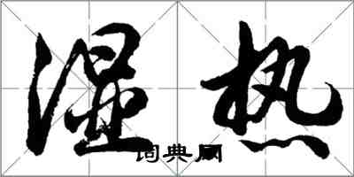 胡问遂湿热行书怎么写