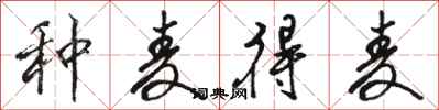 骆恒光种麦得麦行书怎么写