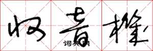 王冬龄收音机草书怎么写