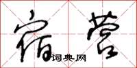 王冬龄宿营草书怎么写