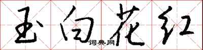 钱沛云玉白花红行书怎么写