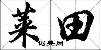 胡问遂莱田行书怎么写