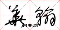 王冬龄华翰草书怎么写