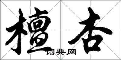 胡问遂檀杏行书怎么写