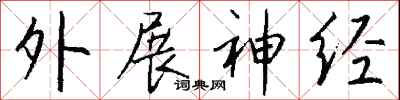 钱沛云外展神经行书怎么写