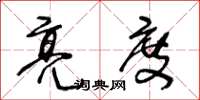 王冬龄亮度草书怎么写