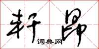 王冬龄轩昂草书怎么写