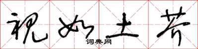 王冬龄视如土芥草书怎么写