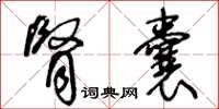 王冬龄肾囊草书怎么写