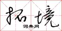 王冬龄拓境草书怎么写