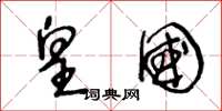 王冬龄皇国草书怎么写