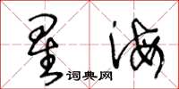 王冬龄星海草书怎么写