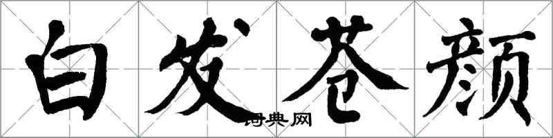 翁闿运白发苍颜楷书怎么写