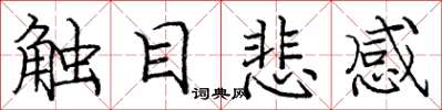 庞中华触目悲感楷书怎么写