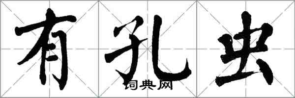 翁闿运有孔虫楷书怎么写
