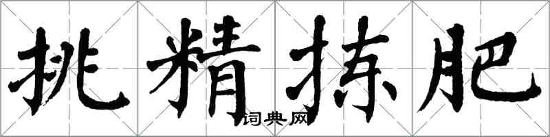 翁闿运挑精拣肥楷书怎么写