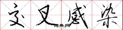 钱沛云交叉感染行书怎么写
