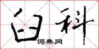 钱沛云臼科行书怎么写