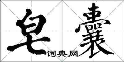 翁闿运皂囊楷书怎么写