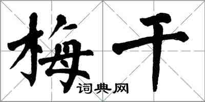 翁闿运梅干楷书怎么写